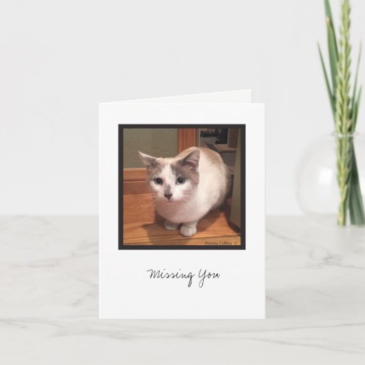 Kit-Sammlung #1 Karte (Vorderseite)