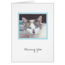 Kit-Sammlung #3 - Anmerkung Karte