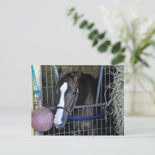 Kitai Postkarte (Stehend Vorderseite)