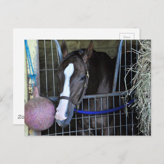 Kitai Postkarte (Vorne/Hinten)