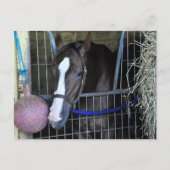 Kitai Postkarte (Vorderseite)