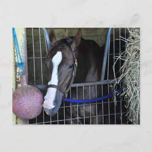 Kitai Postkarte (Vorderseite)