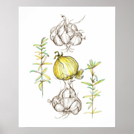 Kitchen Art Onions Knolic Rosemary Herb Zeichnend Poster (Vorne)