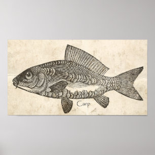 Kitchen Decke Wand Vintager Karpfen Koi Fisch Poster