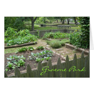 Kitchen Garden II