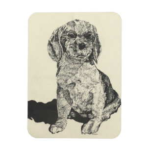 Kitchen Magnet, Cocker Spanisch Magnet
