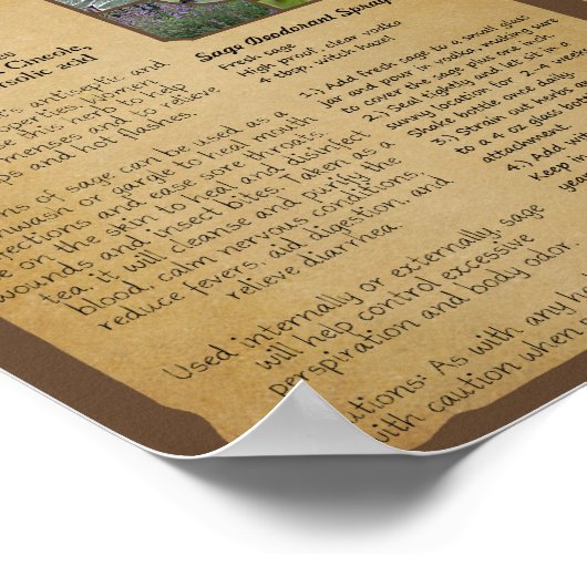 Kitchen Medicinals Poster (Ecke)