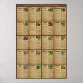 Kitchen Medicinals Poster (Vorne)