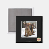 Kite-Carolen Magnet (Vorderseite/Rückseite)