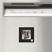 Kite-Carolen Magnet (In Situ (Geschirrspüler))