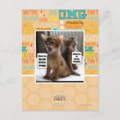 Kite-Carolen Postkarte (Vorderseite)