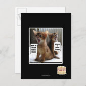 Kite-Carolen Postkarte (Vorne/Hinten)