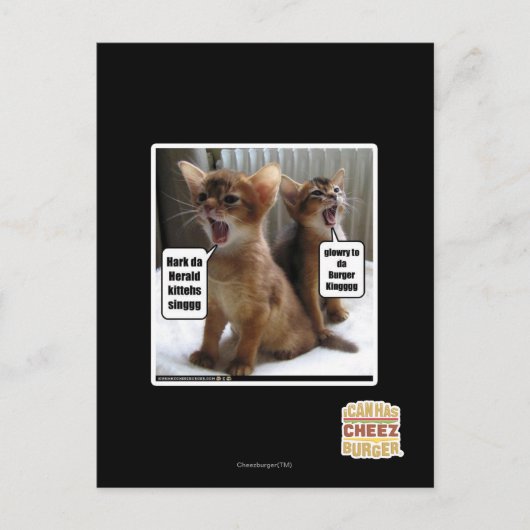 Kite-Carolen Postkarte (Vorderseite)