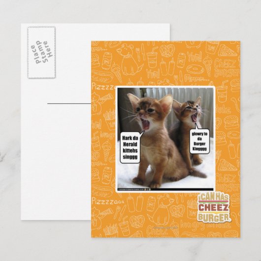 Kite-Carolen Postkarte (Vorne/Hinten)