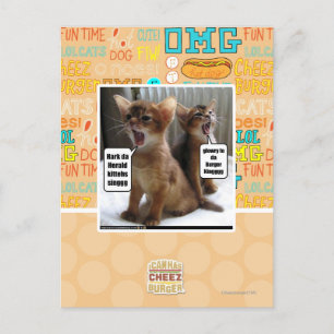 Kite-Carolen Postkarte