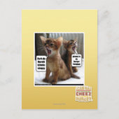 Kite-Carolen Postkarte (Vorderseite)