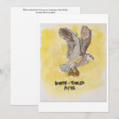 Kite Hawk Greeting Card Einladung (Vorne/Hinten)