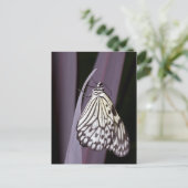 Kite-Schmetterling auf lila Postkarte (Stehend Vorderseite)