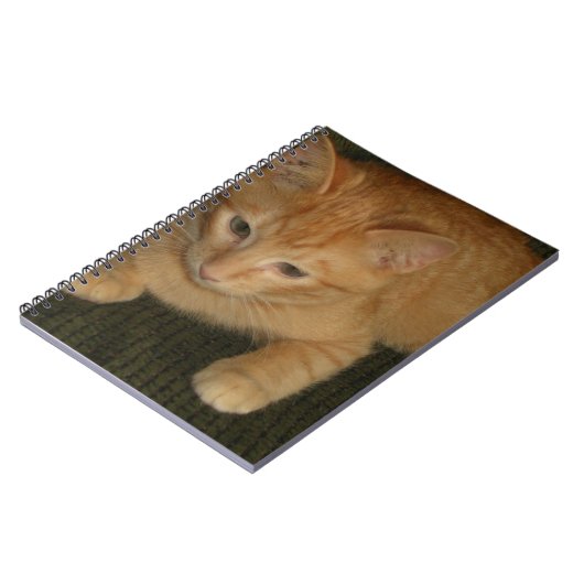 Kitekapitel Notizblock (Linke Seite)