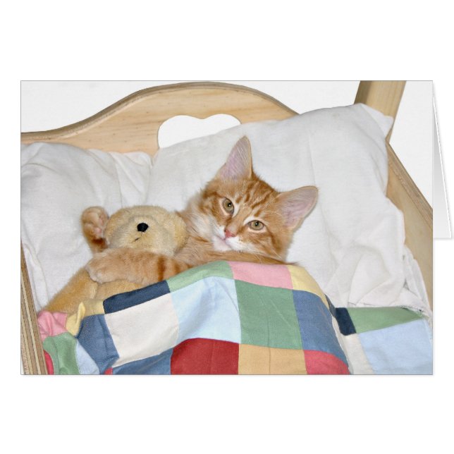 Kiteschlafen mit Teddybär (Vorderseite (Horizontal))
