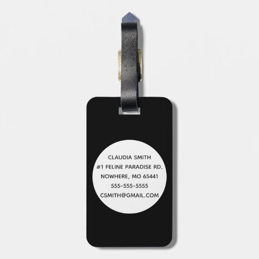 Kitesurf Gepäckanhänger (Rückseite vertikal)