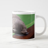 Kitesurfbad Jumbo-Tasse (Rechts)