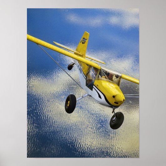 Kitfox oberhalb See Poster (Vorne)
