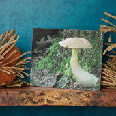 Kiting Mushroom Plaque Fotoplatte (Seite)