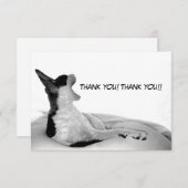 Kitsa Diva: Königin ihres Domans Dankeskarte (Vorne/Hinten)