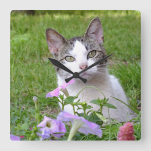 Kitt in der Petunia-Wall-Uhr Quadratische Wanduhr