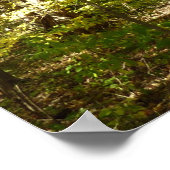 Kittamaquandi-Lehrpfad in Columbia Maryland Poster (Ecke)