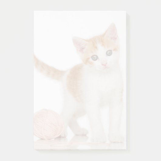 Kitte neben dem Ball Post-it Klebezettel (Vorderseite)