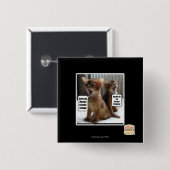 Kitteh Liede Button (Vorne & Hinten)