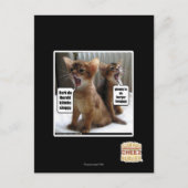 Kitteh Liede Postkarte (Vorderseite)