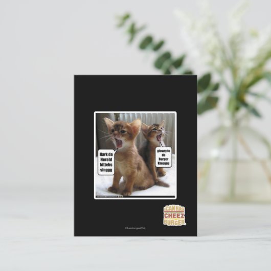 Kitteh Liede Postkarte (Stehend Vorderseite)