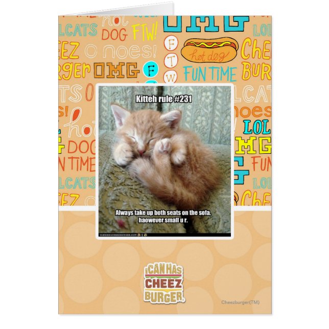 Kitteh-Regel #231 (Vorne)