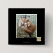 Kitteh-Regel #231 Button (Vorderseite)