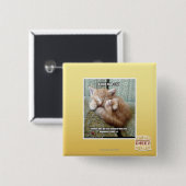 Kitteh Regel #231 Button (Vorne & Hinten)