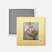 Kitteh-Regel #231 Magnet (Vorderseite/Rückseite)