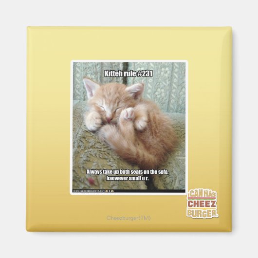 Kitteh-Regel #231 Magnet (Vorne)