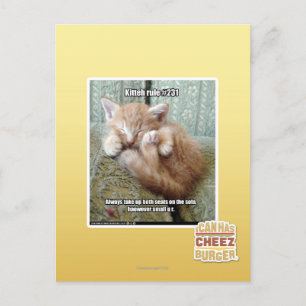 Kitteh-Regel #231 Postkarte