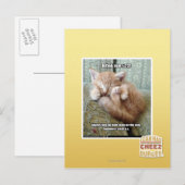 Kitteh-Regel #231 Postkarte (Vorne/Hinten)