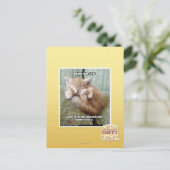 Kitteh-Regel #231 Postkarte (Stehend Vorderseite)