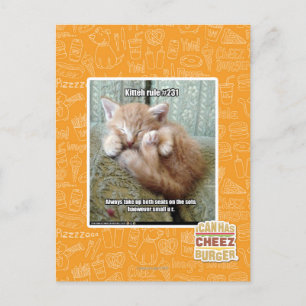 Kitteh-Regel #231 Postkarte
