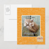 Kitteh-Regel #231 Postkarte (Vorne/Hinten)
