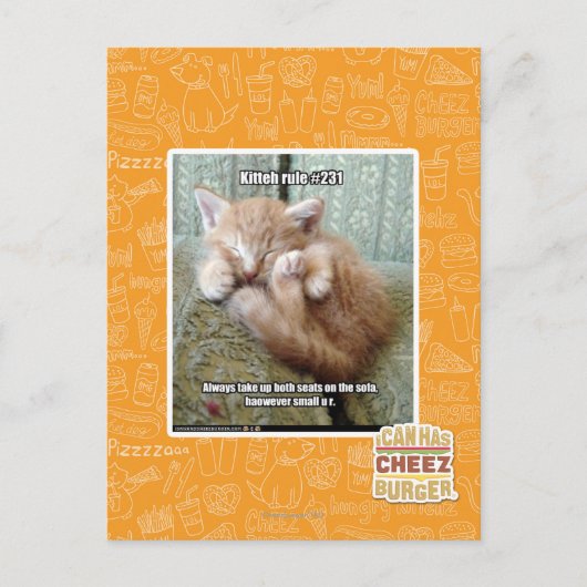 Kitteh-Regel #231 Postkarte (Vorderseite)