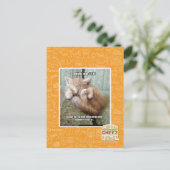 Kitteh-Regel #231 Postkarte (Stehend Vorderseite)