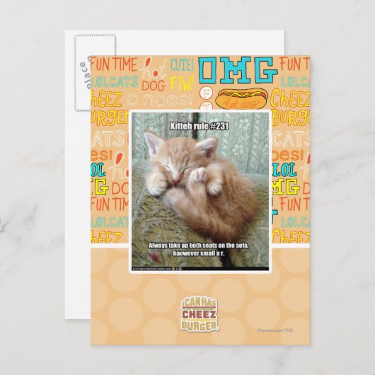Kitteh Regel #231 Postkarte (Vorne/Hinten)