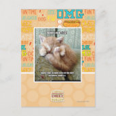 Kitteh Regel #231 Postkarte (Vorderseite)