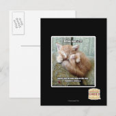 Kitteh-Regel #231 Postkarte (Vorne/Hinten)